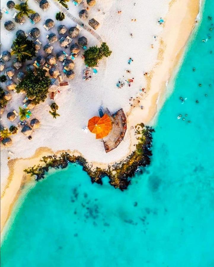 Tropical Beach בייהיבה מראה חיצוני תמונה